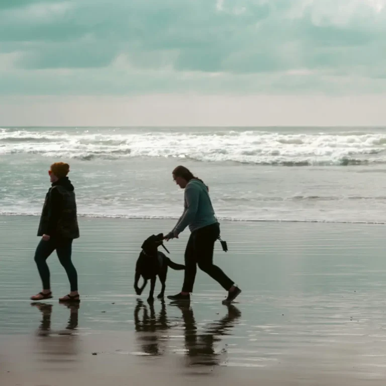 Hampton Demesne by Ballymore - Beach strolls